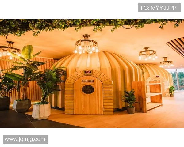 南湖足球明星近期动态揭秘你知道有哪些球员吗