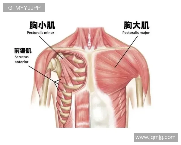 用哑铃进行提拉动作有效锻炼胸部肌肉的全面指南与技巧分享